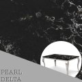 Próbka kwarcytu Pearl Delta – czarny kamień z jasnym mineralnym użyleniem.jpg