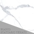 3. Bianco Statuario Venato.jpg